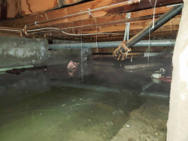 Best Water damage restoration specialists  in Gretna, NE