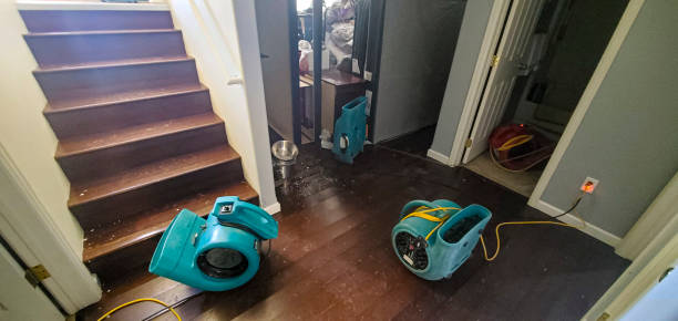 Best Water damage restoration experts  in Gretna, NE