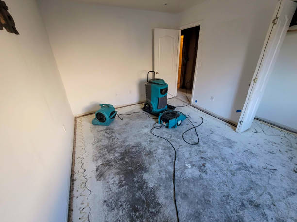 Best Water damage cleanup near me  in Gretna, NE