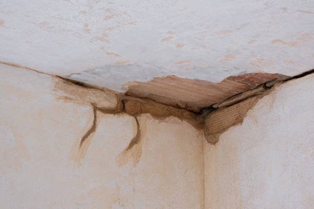 Best Fire Damage Restoration  in Gretna, NE