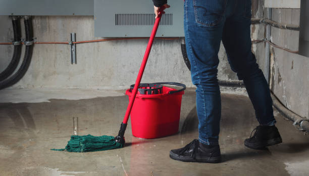 Best Basement water damage restoration  in Gretna, NE