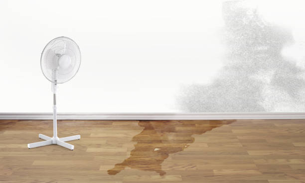 Best Residential water damage restoration  in Gretna, NE