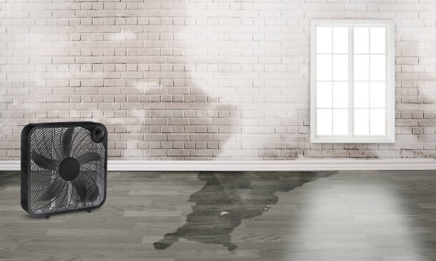 Best 24-hour water damage restoration  in Gretna, NE