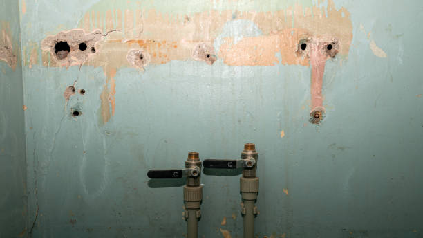 Best Sewage cleanup and water damage restoration  in Gretna, NE