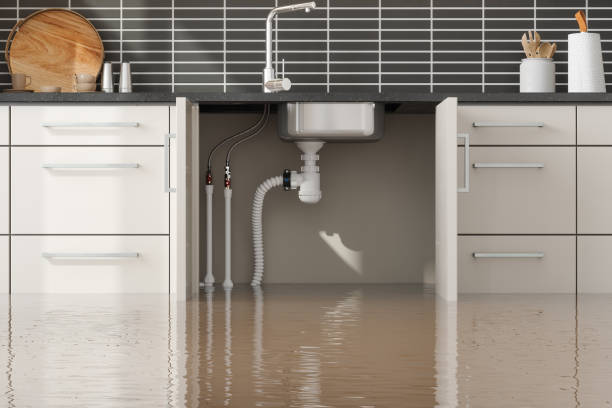 Best Ceiling water damage repair  in Gretna, NE