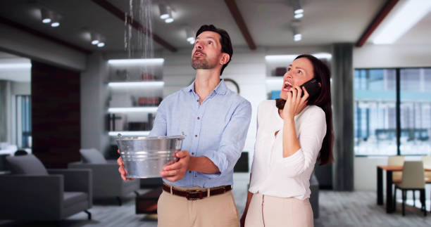 Best Flood damage cleanup  in Gretna, NE
