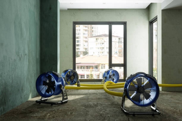 , NE Water damage restoration Company
