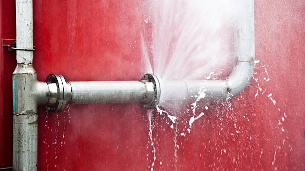 Best 24/7 water damage repair  in Gretna, NE