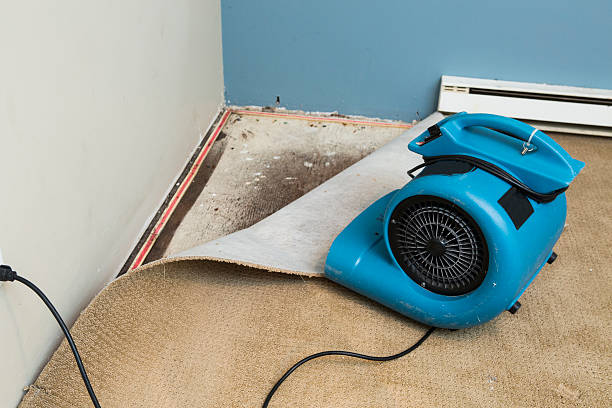 Best Commercial water damage restoration  in Gretna, NE